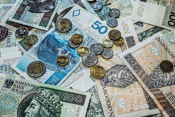 Assurance animaux : protection complète pour votre animal de compagnie